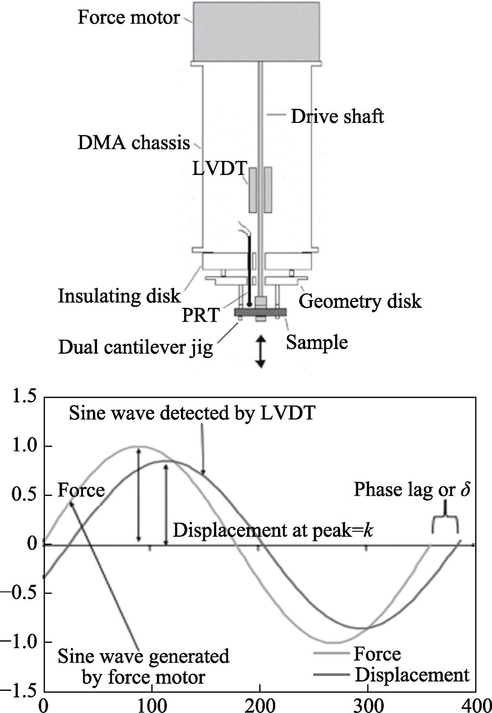 Schematic diagram of dynamic mechanical analysis (DMA)[22]