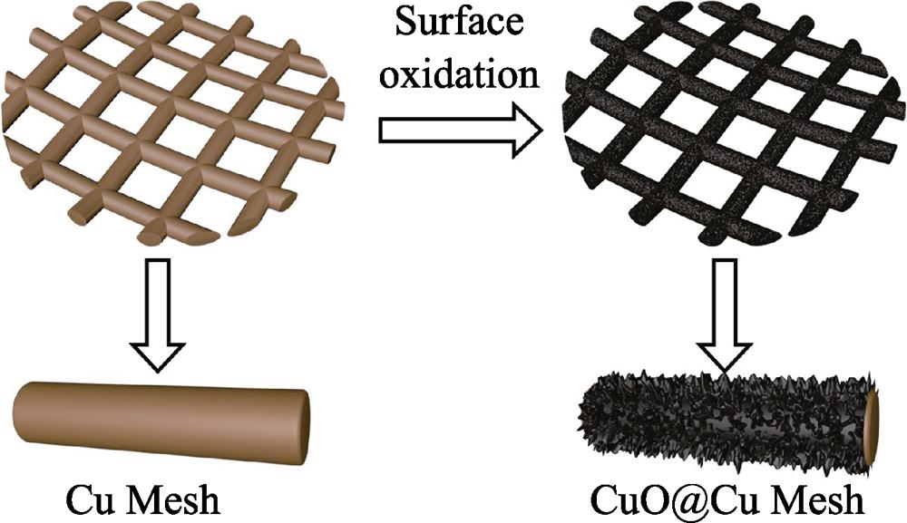 Schematic illustration for the fabrication of CuO@Cu Mesh