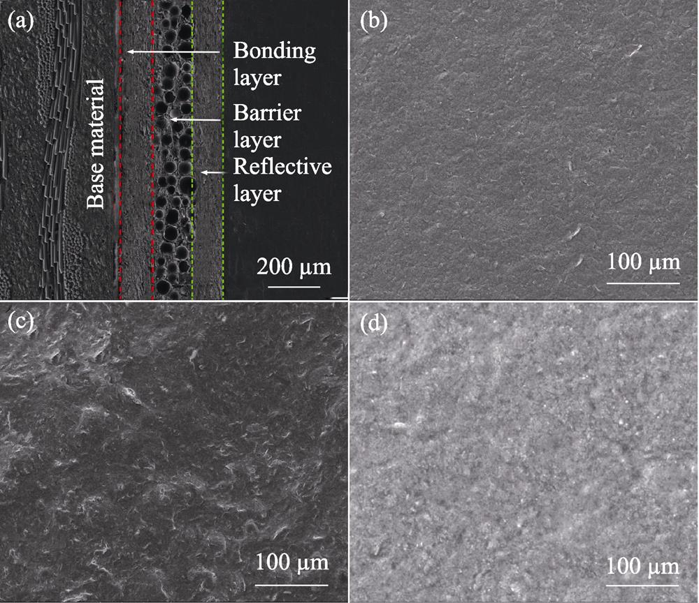 Designed microstructure of the thermal insulation coating(a) Cross section; (b) Bonding layer surface; (c) Barrier layer surface; (d) Reflective layer surface