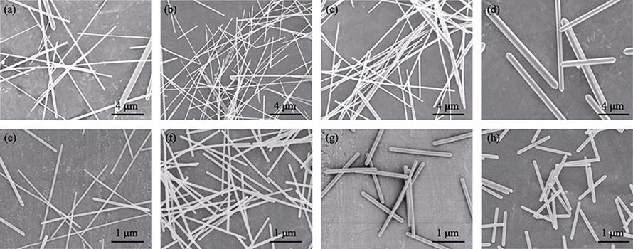 FESEM images of Te nanowires obtained by the solution without ascorbic acid at (a) 140, (b)160, (c) 180 and (d) 200 ℃, and with ascorbic acid at (e) 140, (f) 160, (g) 180 and (h) 200 ℃