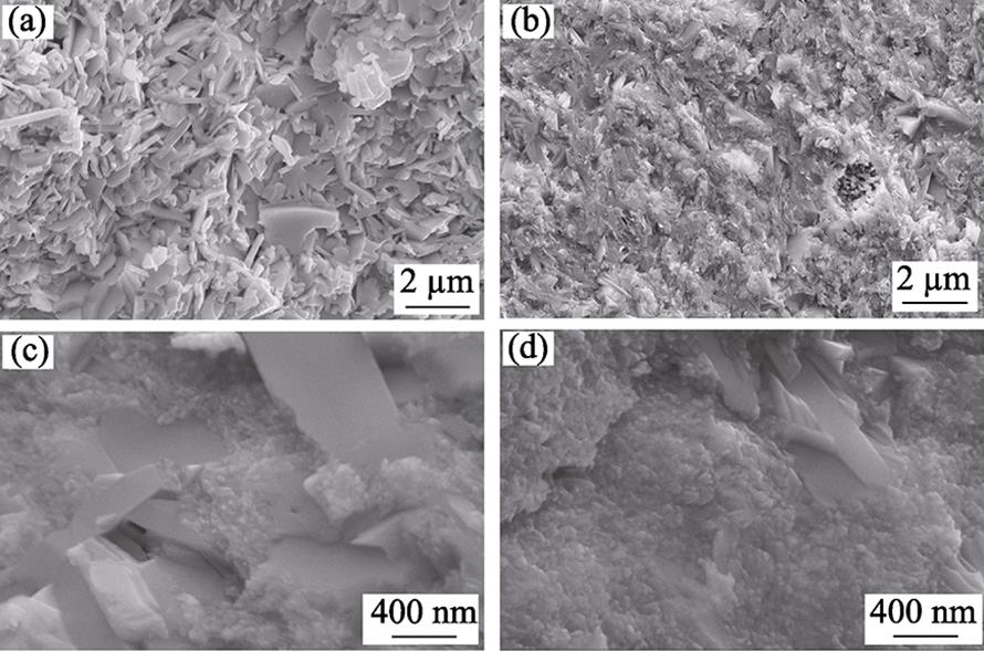 SEM images of the fracture surface of Bi1-xEuxCuSeO