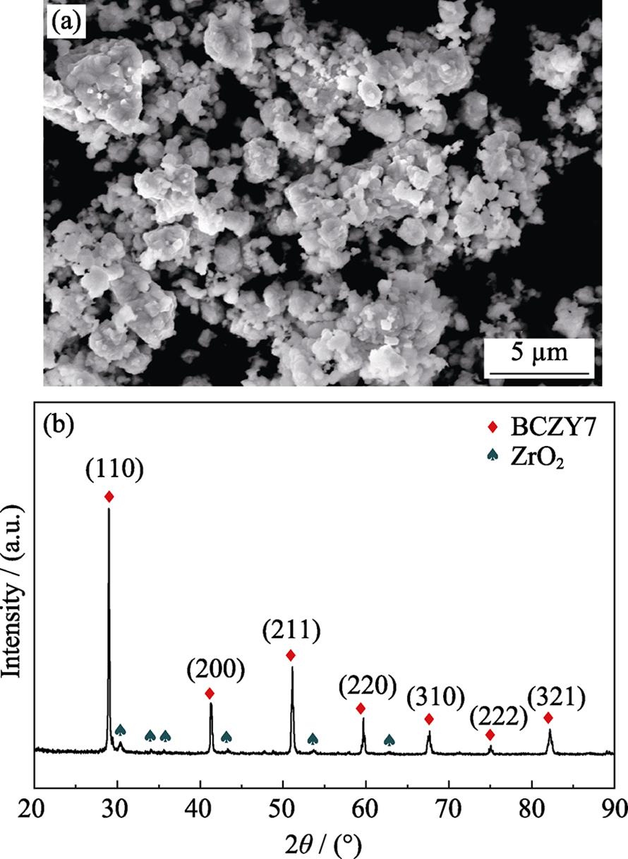 (a)SEM morphology and (b)XRD pattern of BZCY7 powder synthesized by high temperature solid-state reaction method
