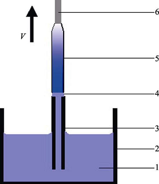 Schematic experimental device1-Melt; 2-Crucible; 3-Die; 4-Meniscus; 5-Sapphire fiber; 6-Seed
