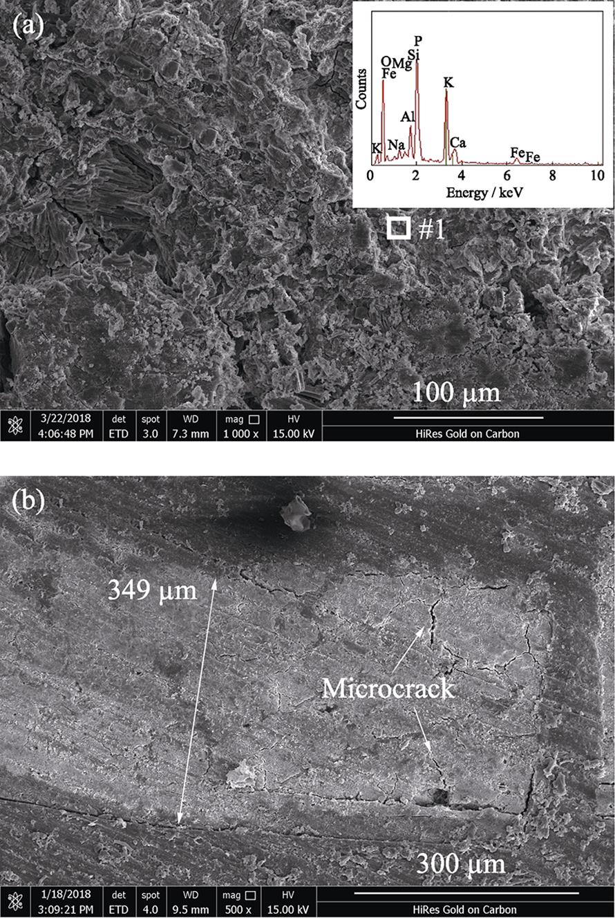 Surface (a) and section (b) SEM images of the as-prepared ceramic coatingInset in (a) is the EDS analysis of area #1
