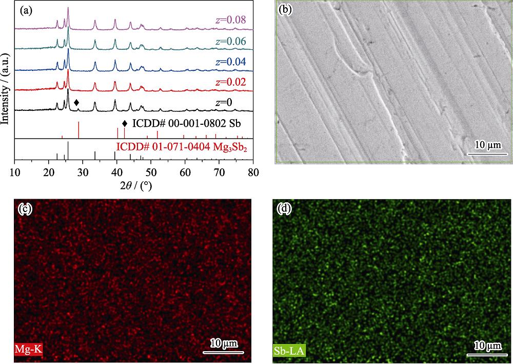(a) XRD patterns of Mg3(1+z)Sb2 (z=0, 0.02, 0.04, 0.06, 0.08), and (b) back scattering electron image and elemental mapping of (c) Mg, (d) Sb for Mg3(1+0.04)Sb2