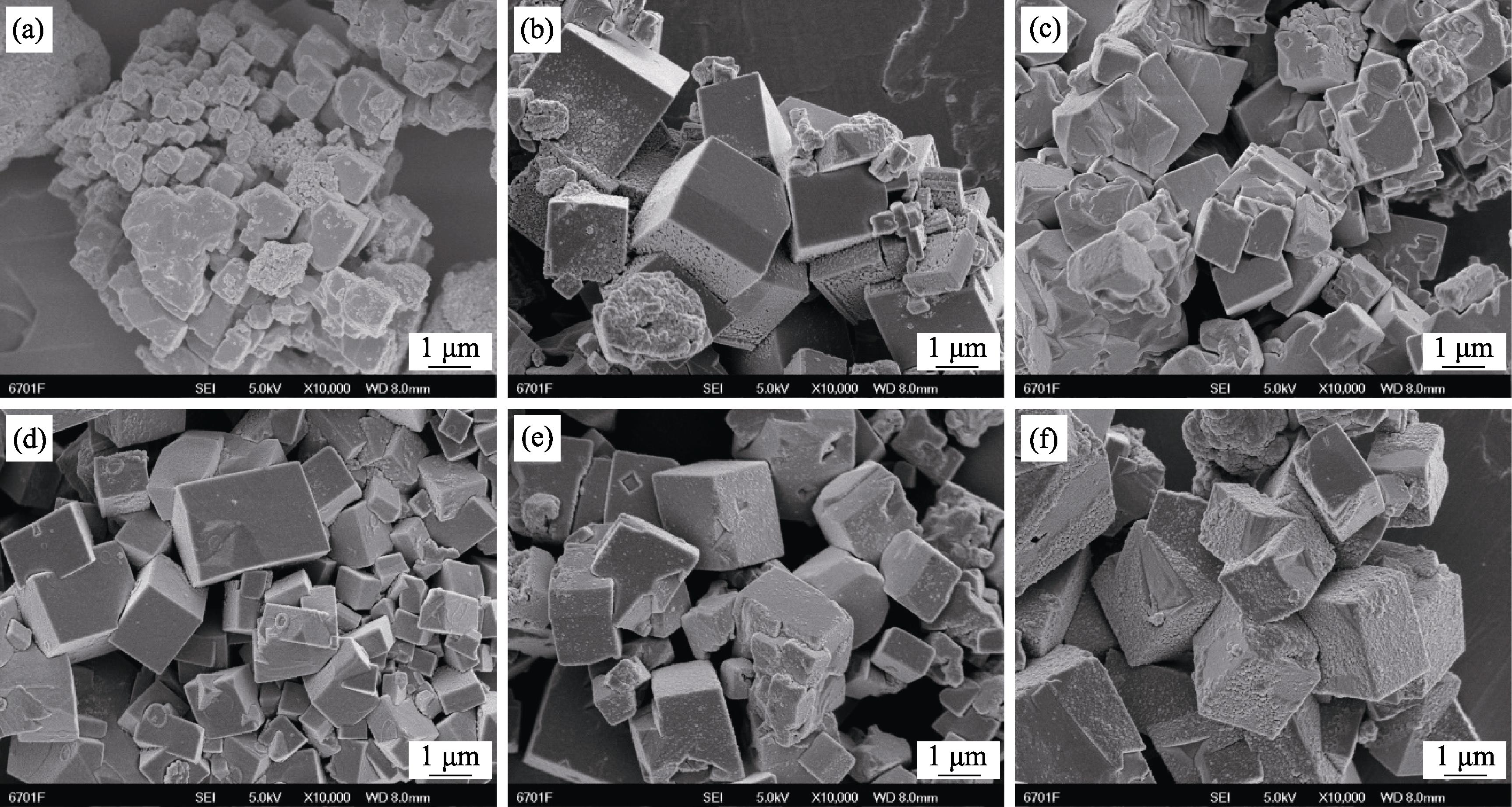 SEM images of samples in the presence of various types of seeds (a) SP34; (b) SP34-RS; (c) SP34-AS0.1; (d) SP34-AS0.01; (e) SP34-AS0.001; (f) SP34-AS0.0001