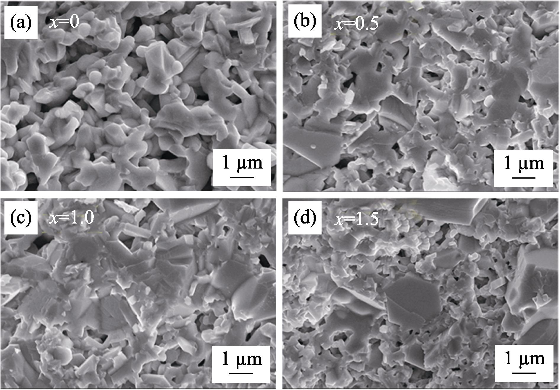 SEM images of BaFe12-xTixO19 with different Ti-doping contents