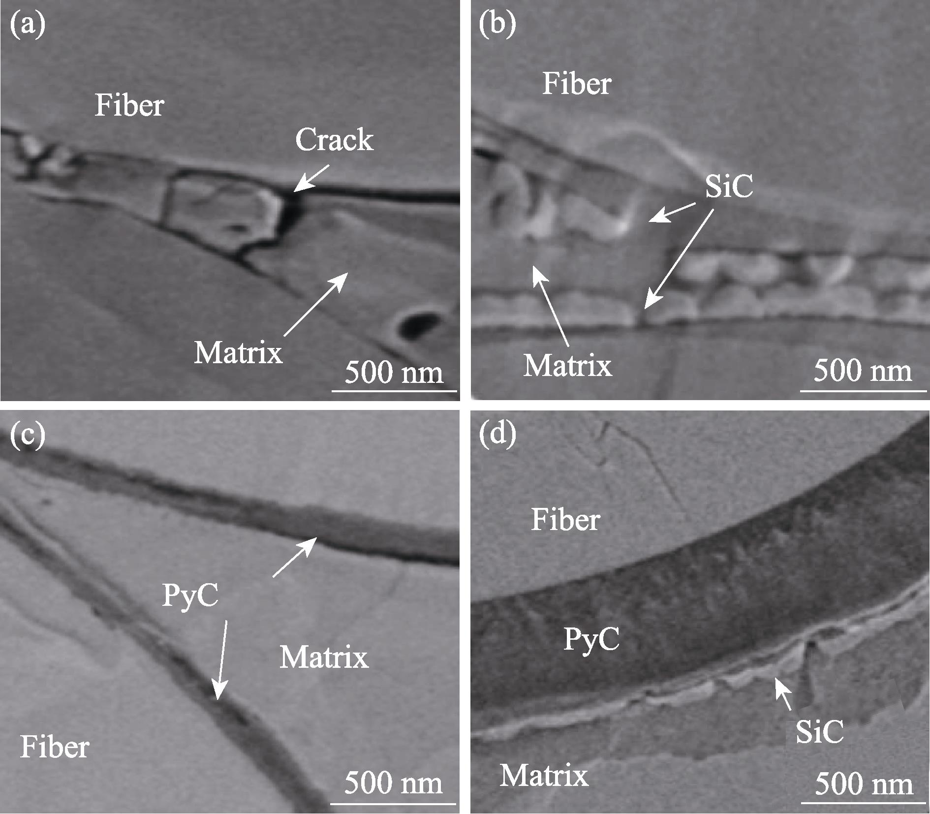 Cross-sectional SEM images of the composites with different interface layers