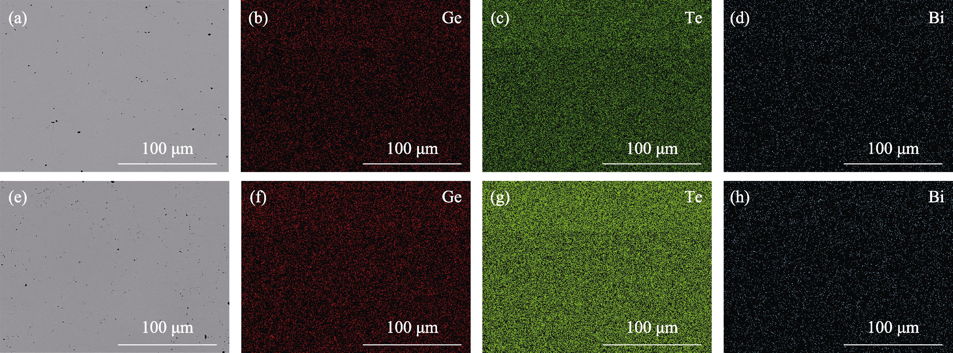 (a, e) Back-scattering electron (BSE) images and (b, f)Ge, (c, g)Te and (d, h) Bi elemental distributions of the polished surfaces for (GeTe)nBi2Te3 samples ((a-d) n=10, (e-h) n=14)
