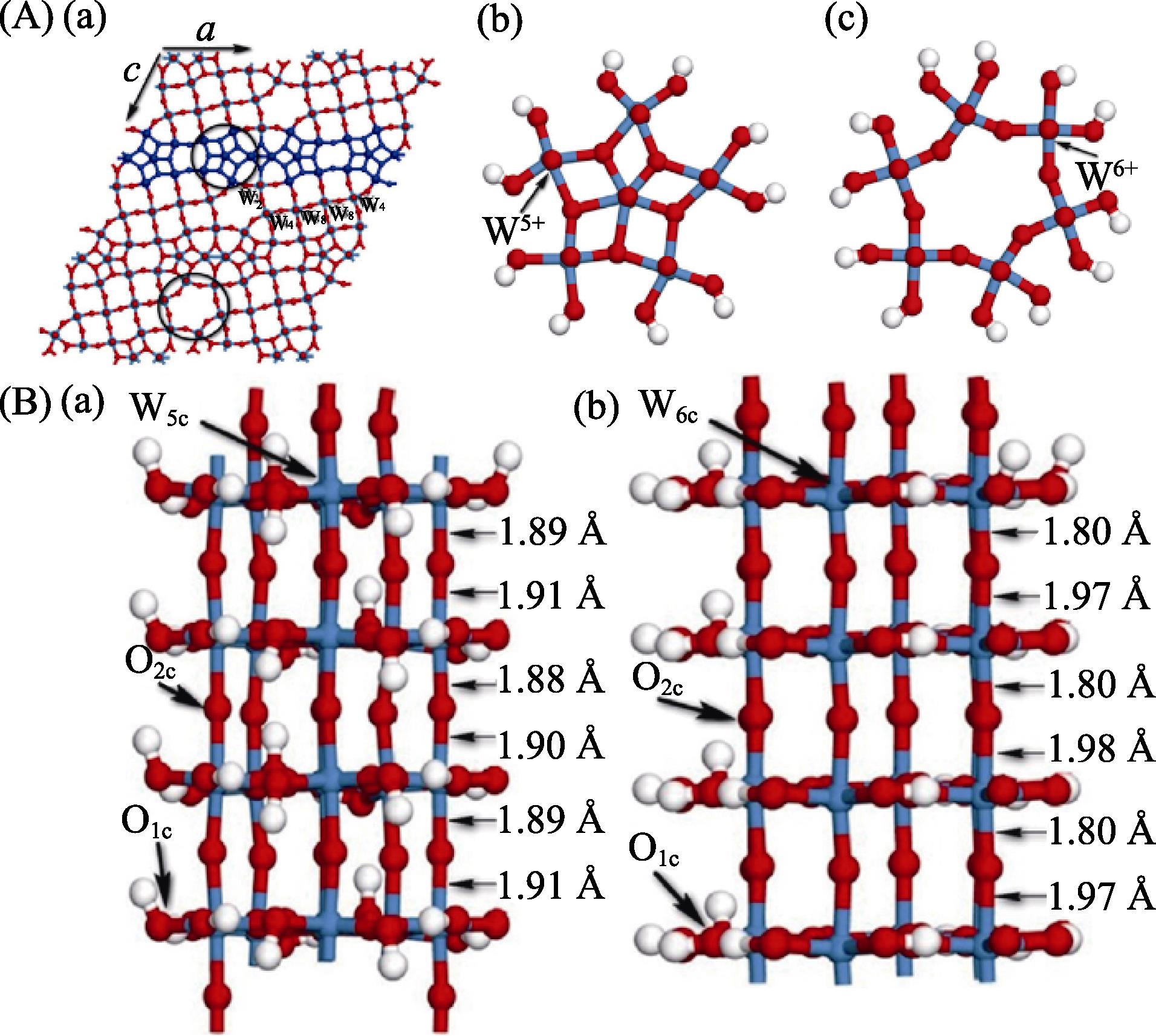 (A) Monoclinic structure (a) of W18O49 nanowires supercell model and its top views of NW1(b) and NW2(c), where NW1 and NW2 include largely cations W5+ and cations W6+, respectively; (B) Optimized models for NW1 (a) and NW2 (b), of W18O49 (010) nanowires[24, 61-62].