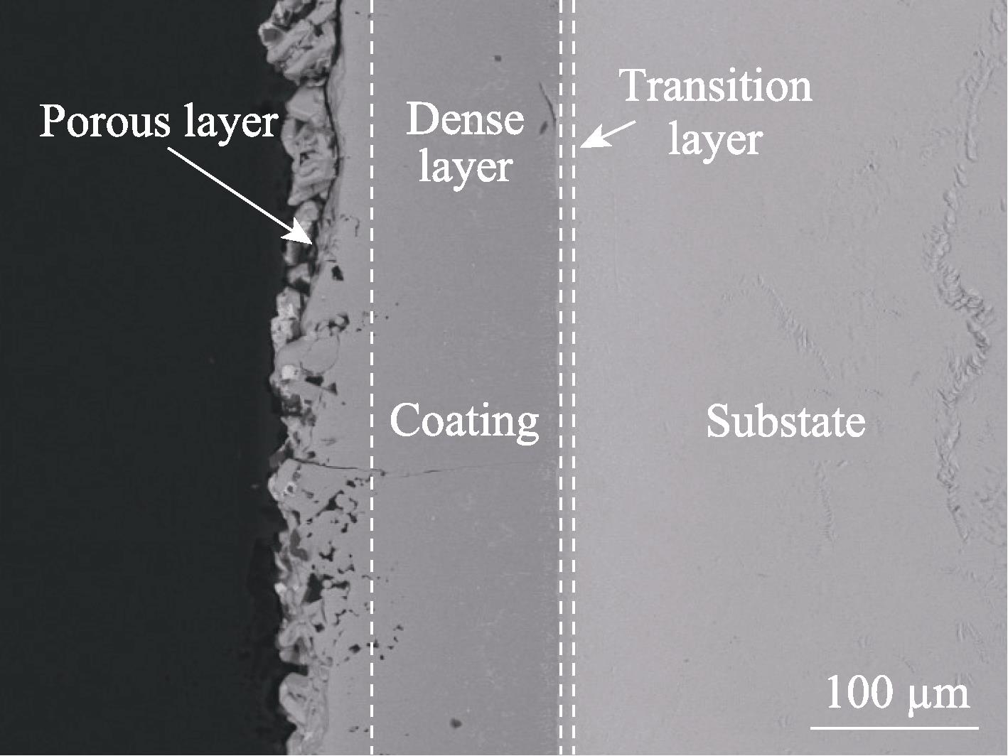 SEM image of cross-section of high temperature oxidation resistance coating