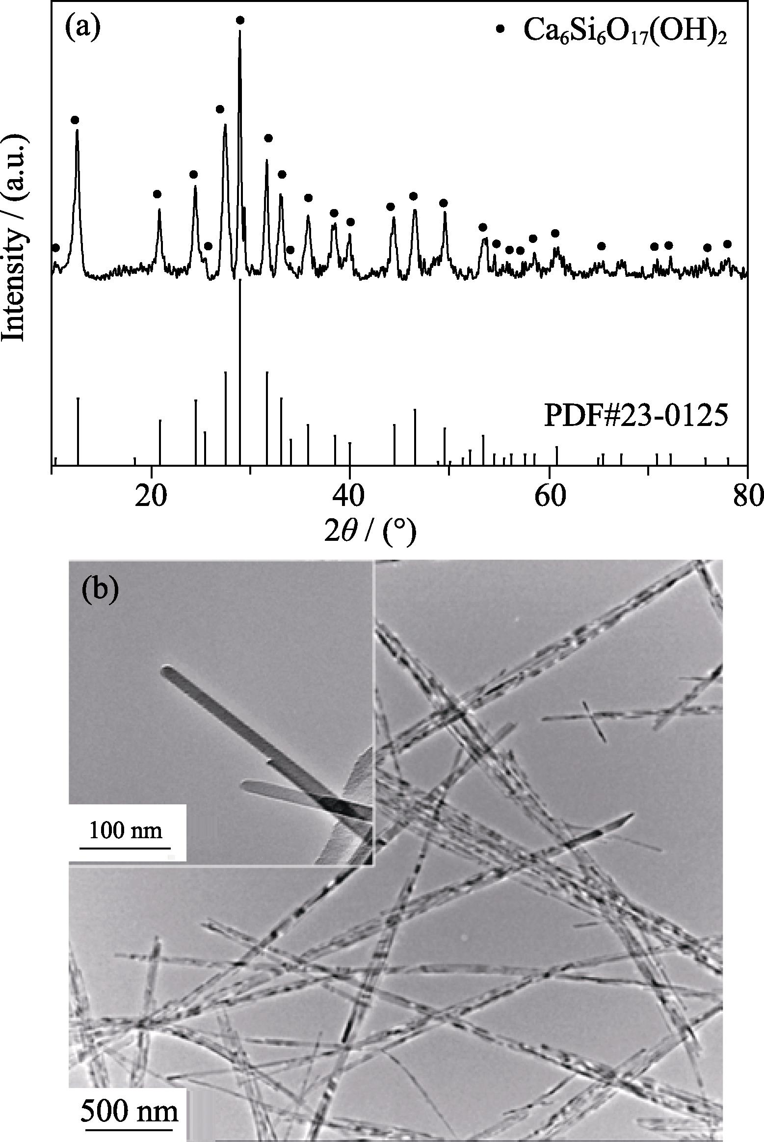 (a) XRD patterns and (b) TEM images of calcium silicate nanowires with inset in (b) showing magnified TEM image of CSH