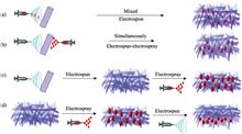 Calcium Silicate Nanowires Based Composite Electrospun Scaffolds: Preparation, Ion Release and Cytocompatibility