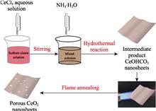 Ultrafast CO Sensor Based on Flame-annealed Porous CeO2 Nanosheets for Environmental Application