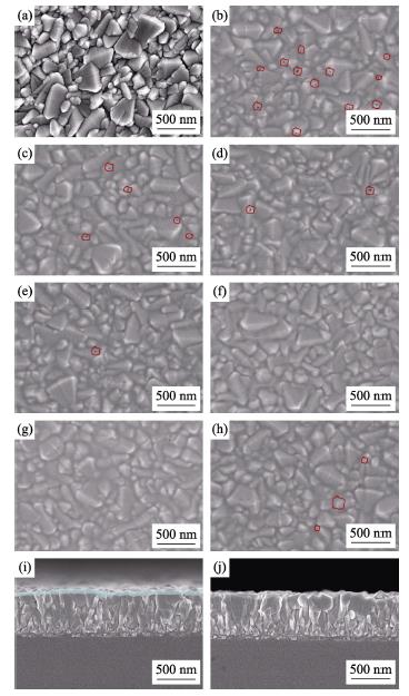 FSEM images of FTO and SnO2 films annealed at different temperatures