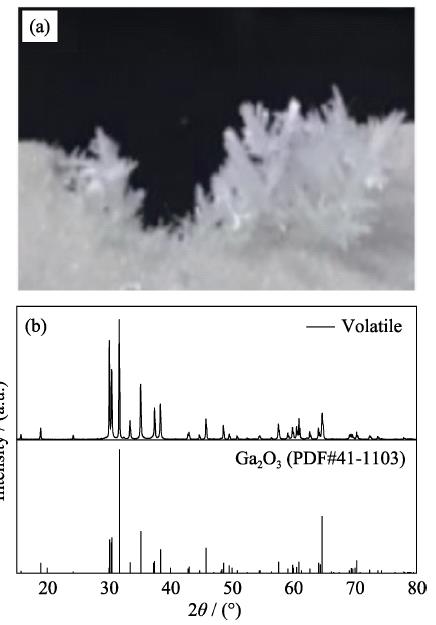 Photo and XRD pattern of volatiles during crystal growth of GAGG:Ce: (a) volatiles photo; (b) XRD pattern