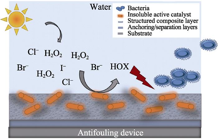Principle of active substances incorporated in an antifouling device with haloperoxidase-like activity[29]