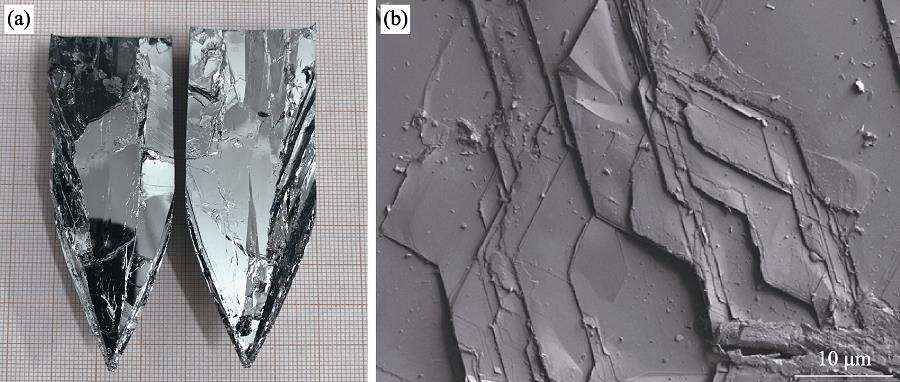 As-grown SnSe crystal (a) and SEM morphology of the cleavage plane (b)