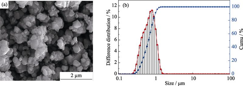 SEM image(a) and particle size distribution pattern(b) of M3O4 powders