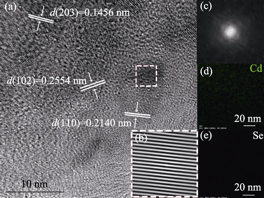 (a) HRTEM image of CdSe MSNs with (b) corresponding selected area correlation pattern of the square in (a), (c) FFT- HRTEM image of CdSe MSNs, and (d, e) elemental mapping images of CdSe MSNs