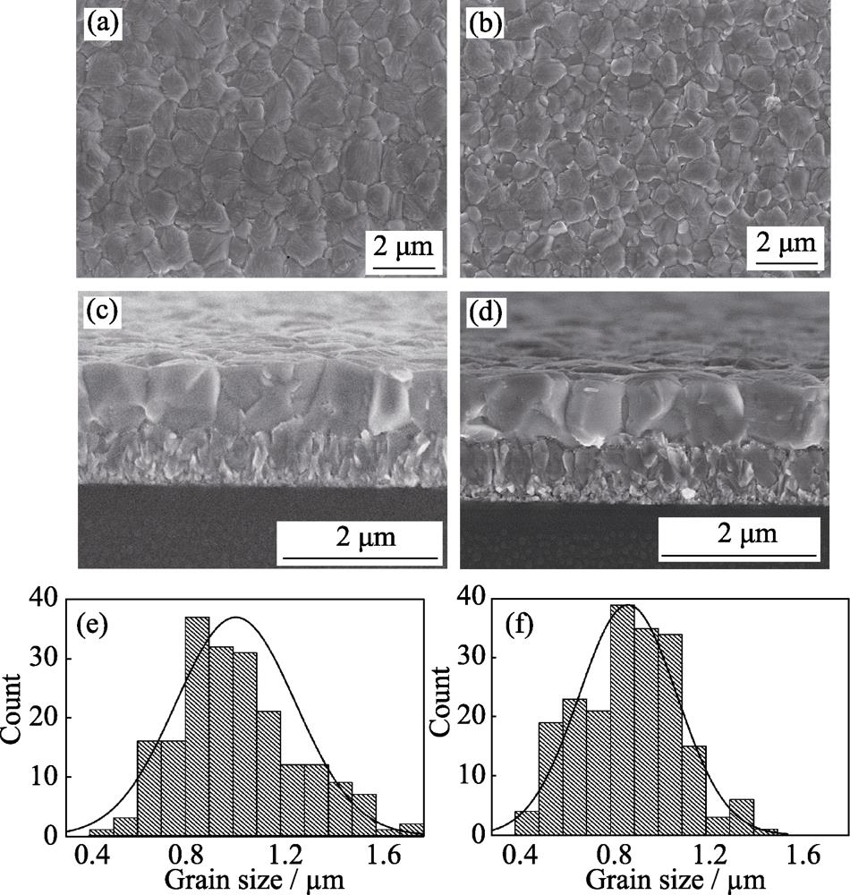 (a,b) Surface and (c,d) cross sectional SEM images, (e,f) grain size distributions of FTO/TiO2/perovskite films (a, c, e) without and (b, d, f) with PLA