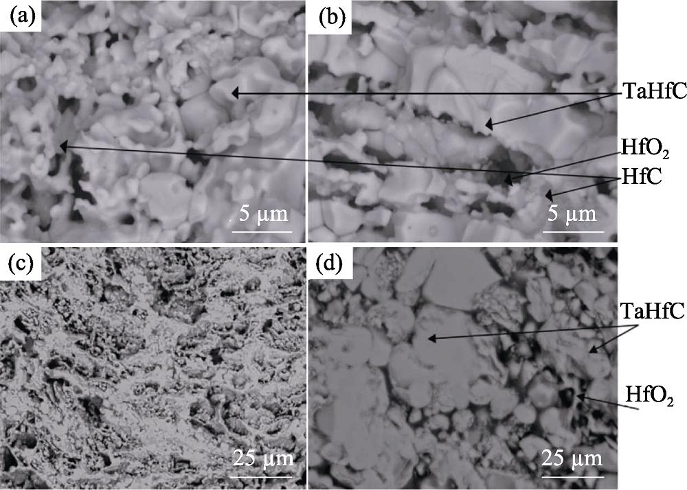 Morphology of Ta0.8Hf0.2C solid solution ceramics synthesised by different SHS methods[43]