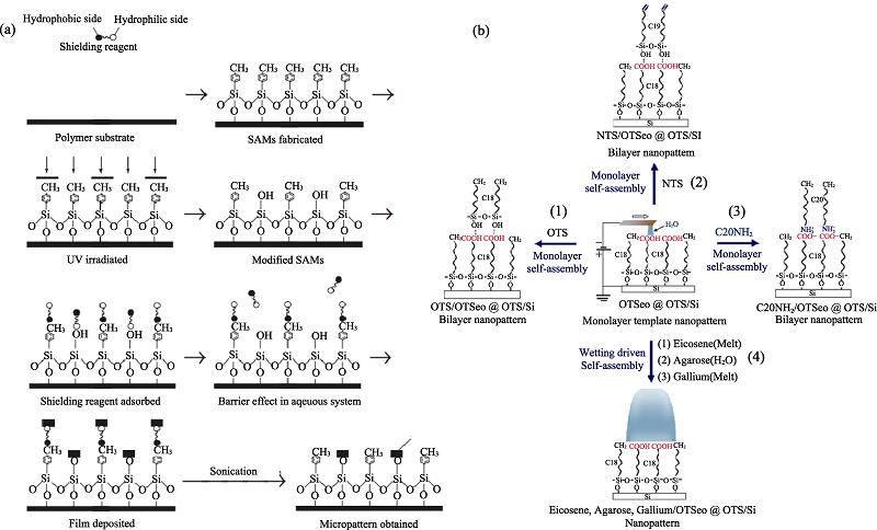 (a) Schematic procedure of micropattern fabrication employing a shielding reagent[32] and (b) route of self-assembled surface nanopatterns based on shielding effect[37]