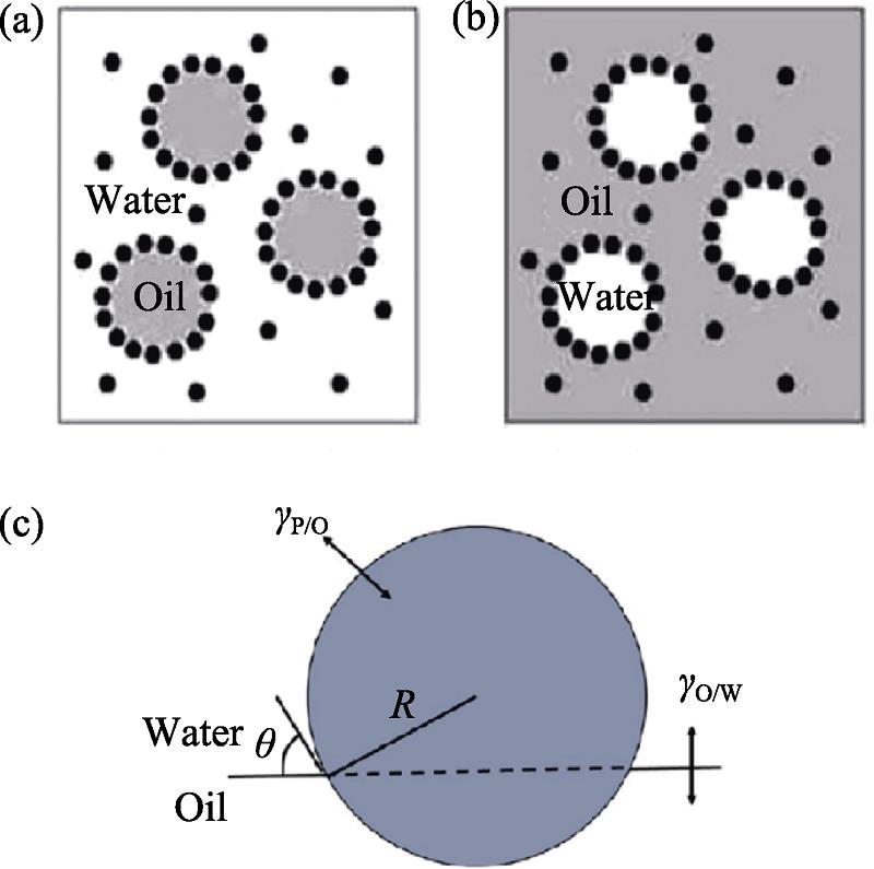 Schematic diagram of Pickering emulsion stability mechanism[40]