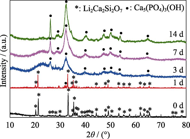 XRD patterns of Li2Ca2Si2O7 powders soaked in SBF for different periods