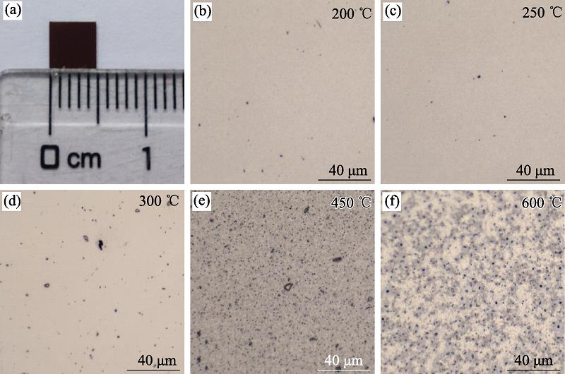 Photograph of an as-synthesized 5 mm×5 mm PdSe2 thin film (a), and top-view micrographs of the films selenized at 200 (b), 250 (c), 300 (d), 450 (e), and 600 ℃ (f), respectively
