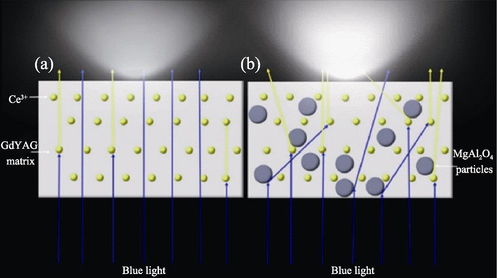 Schematic of light conversion and propagation in monolithic (a) and composite (b) ceramics[18]