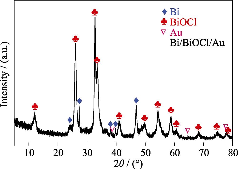 XRD pattern of Bi/BiOCl/Au