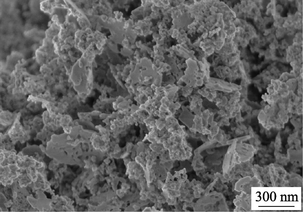 FESEM image of Co:MgAl2O4 powders