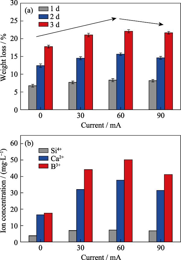 Weight loss (a) and comparison of cumulative ion concentration (b) of borosilicate bioactive glass immersed in SBF with different currents applied for 3 d at 37 ℃
