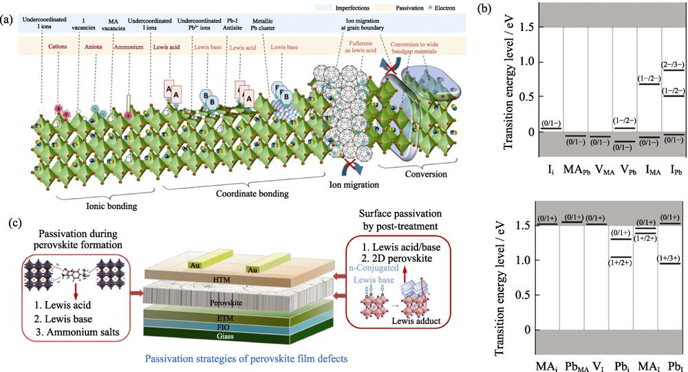 (a) Schematic diagram of defects in perovskite film[10]; (b) Transition energy levels of intrinsic acceptors and intrinsic donors in MAPbI3[15]; (c) Schematic diagram of passivation strategies of defects