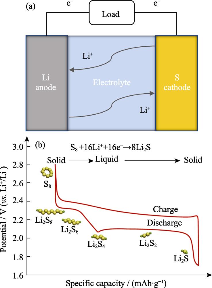 Schematic diagram of (a) lithium-sulfur battery configuration and (b) corresponding charge-discharge process[7]