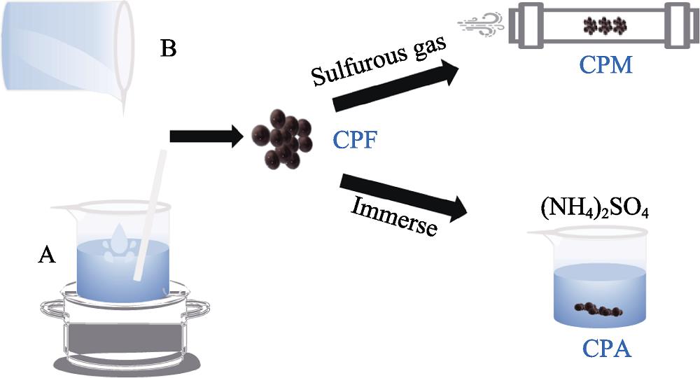 Schematic illustration for preparing and poisoning catalysts