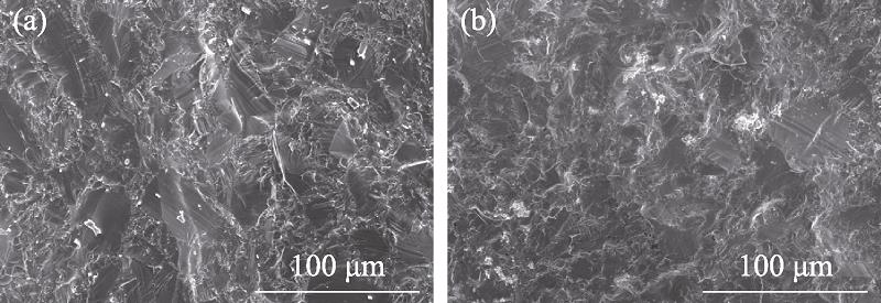 Field emission scanning electron microscopies of freshly fractured surfaces of samples Cu2SnSe3 (a) and Cu2SnSe2.9Te0.1 (b)