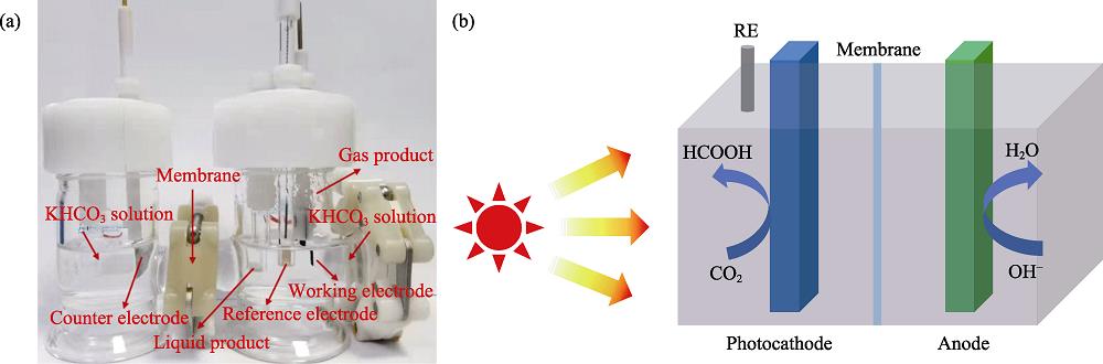 (a) Physical picture and (b) schematic model of photoelectrochemical cell for CO2 reduction