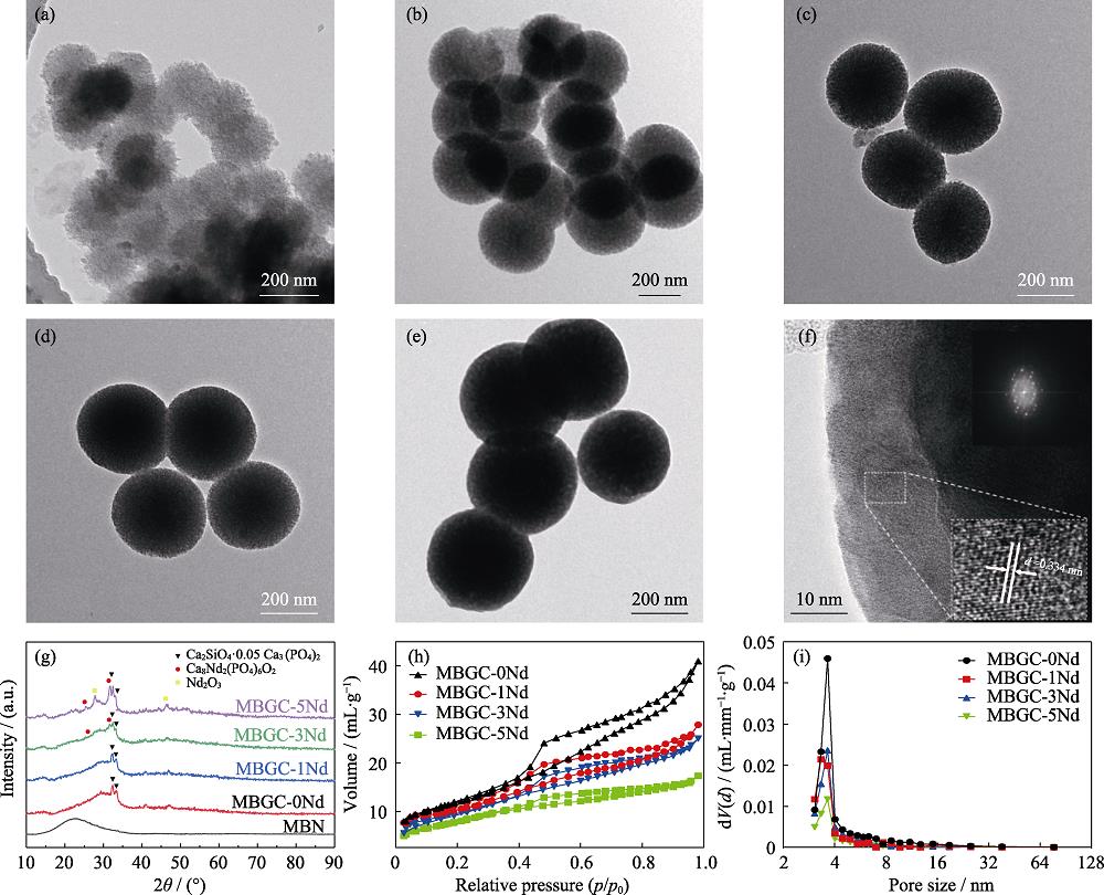 Characterization of MBGC-xNd microspheres(a-e) TEM images of (a) MBN, (b) MBGC-0Nd microspheres, (c) MBGC-1Nd microspheres, (d) MBGC-3Nd microspheres, and (e) MBGC-5Nd microspheres; (f) High-resolution TEM image of MBGC-3Nd microspheres with insert showing the interplanar crystal spacing at about 0.334 nm; (g) XRD patterns of MBN and MBGC-xNd microspheres; (h) N2 adsorption-desorption isotherm and (i) pore size distribution curve of MBGC-xNd microsphere The color figures can be obtained from online edition