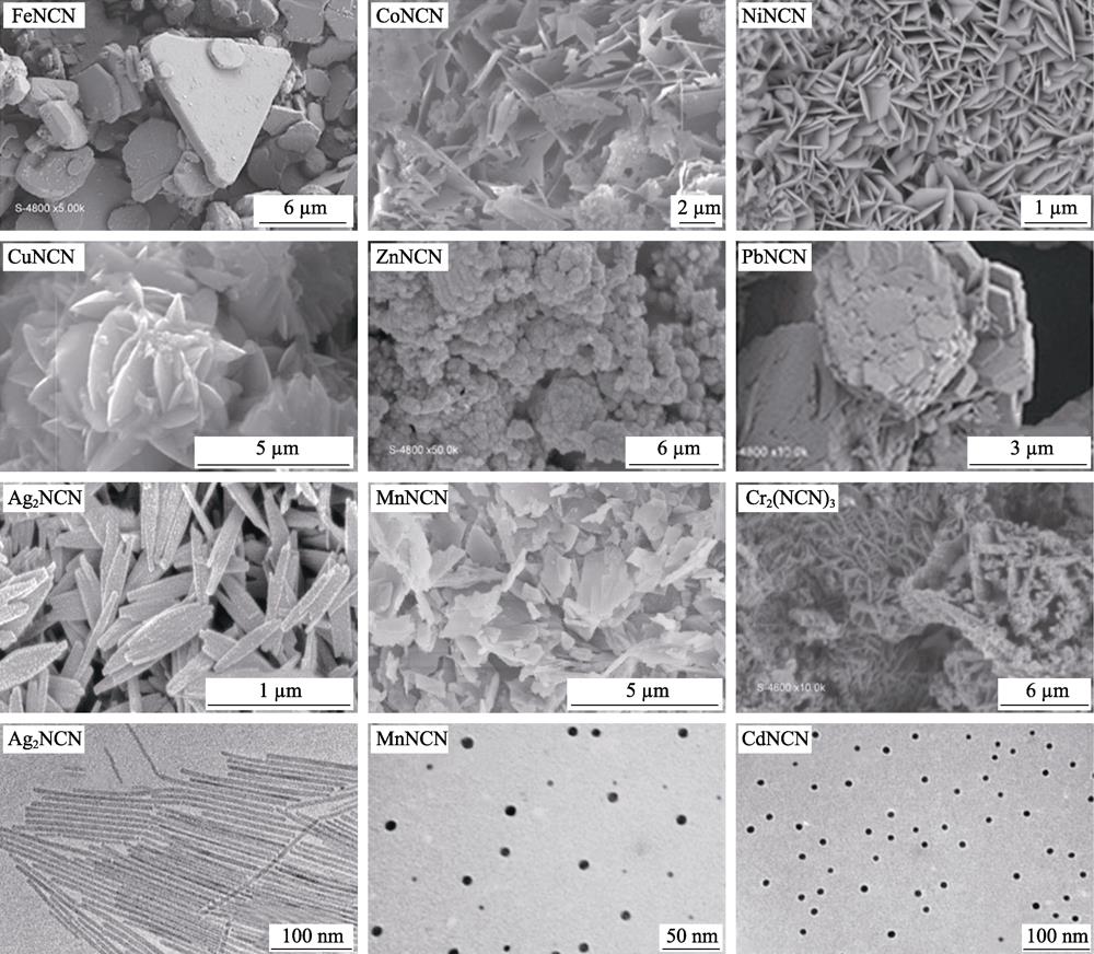 SEM (the first three rows), TEM (the fourth row) images of partial metal cyanamides/carbodiimides[12,16,18,36,47,48,50,52,53]