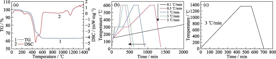 TG/DSC curves, debinding and sintering curves of printed cordierite green body