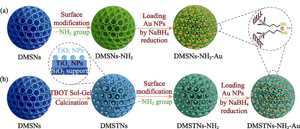Schematic diagram of constructing DMSNs- and DMSTNs-based supported Au NPs catalysts
