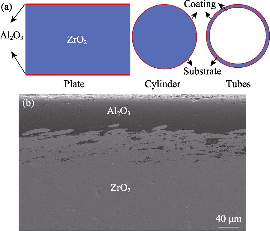 (a) Schematic diagram of the ACZS pre-stressed ceramics; (b) SEM image of interface between ZrO2 substrate and Al2O3 coating