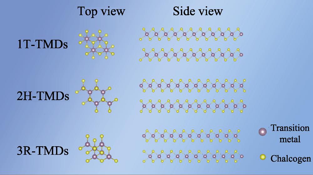 Structures and crystal forms of 2D TMDs