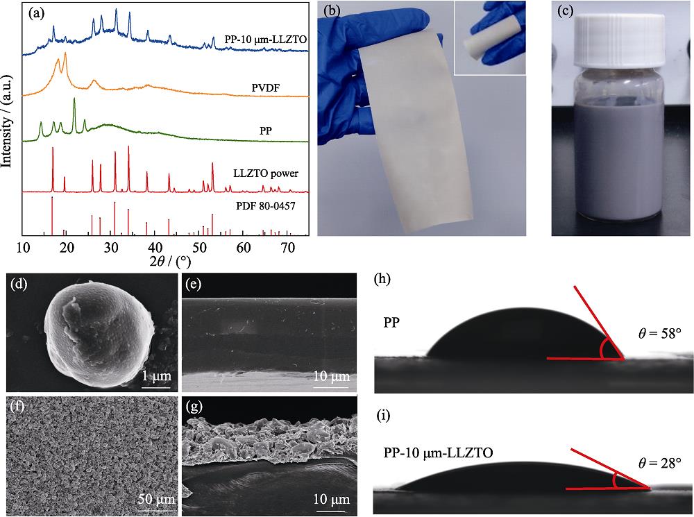 Structural characterization of PP-10 μm-LLZTO separator(a) XRD patterns of LLZTO powder, bare PP separator, PVDF and PP-10 μm-LLZTO separator; (b) Optical photos of PP-10 μm-LLZTO separator; (c) Photograph of LLZTO-PVDF slurry after stirring; (d) SEM image of LLZTO powder; (e) Cross-sectional SEM image of PP separator; (f) Top-view and (g) cross-sectional SEM images of PP-10 μm-LLZTO separator; Electrolyte contact angles of (h) PP and (i) PP-10 μm-LLZTO separators