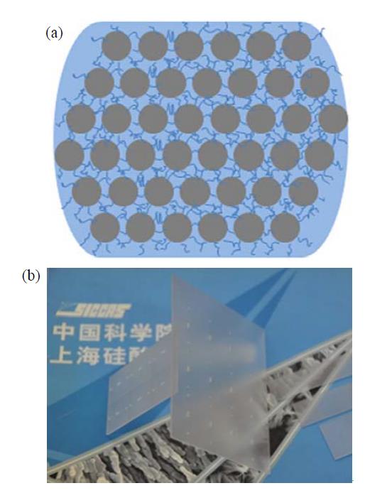 Schematic diagram of ceramic particles solidified by three-dimensional organic network (a) and photo of translucent Al2O3 sheet (100 mm × 100 mm × 1 mm) (b)