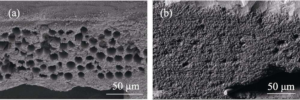 SEM images of CVI SiC composites reinforced with different SiC fibers after neutron irradiation[9]