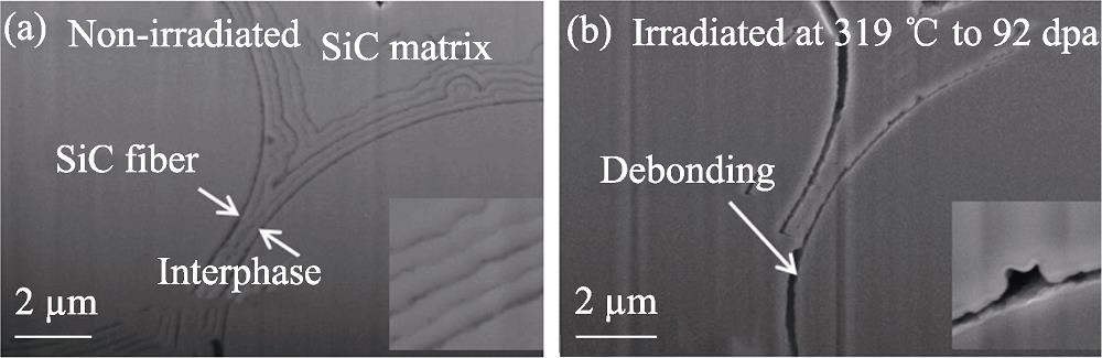 Interfacial microstructures of SiCf/SiC composites with PyC as a interphase before (a) and after (b) neutron irradiation[35]