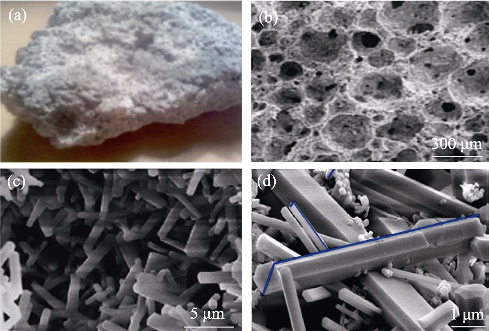 Optical picture (a) and amplified microstructures (b-d) of the porous Si3N4 ceramics prepared by gel-casting and SHS[32]